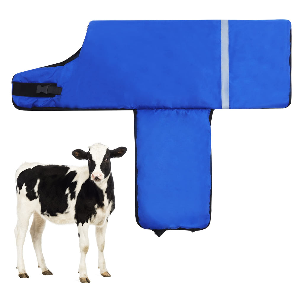 Jranter front view of calf jacket showing full coverage and fit benefit