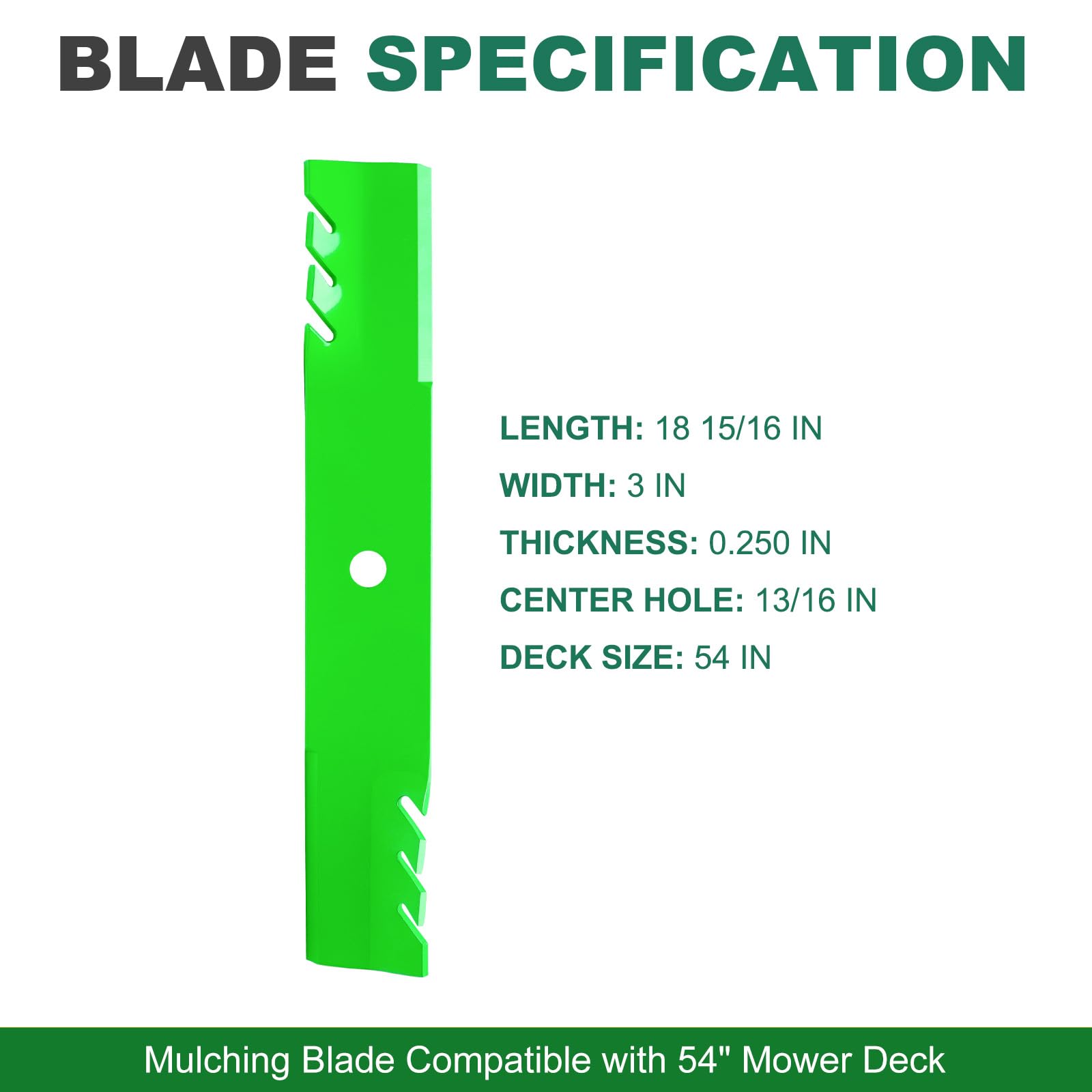 JSXDNWYJ close-up of blade edge demonstrating sharp cut quality