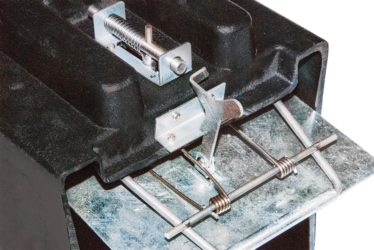 JT Eaton trap positioned in yard demonstrating practical field placement and concealment