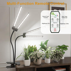 Juhefa in use on a desk with plants showing faster growth support benefit
