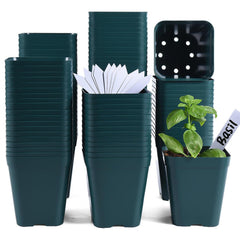 June Fox front view of stacked green 4-inch pots showing bulk pack benefit