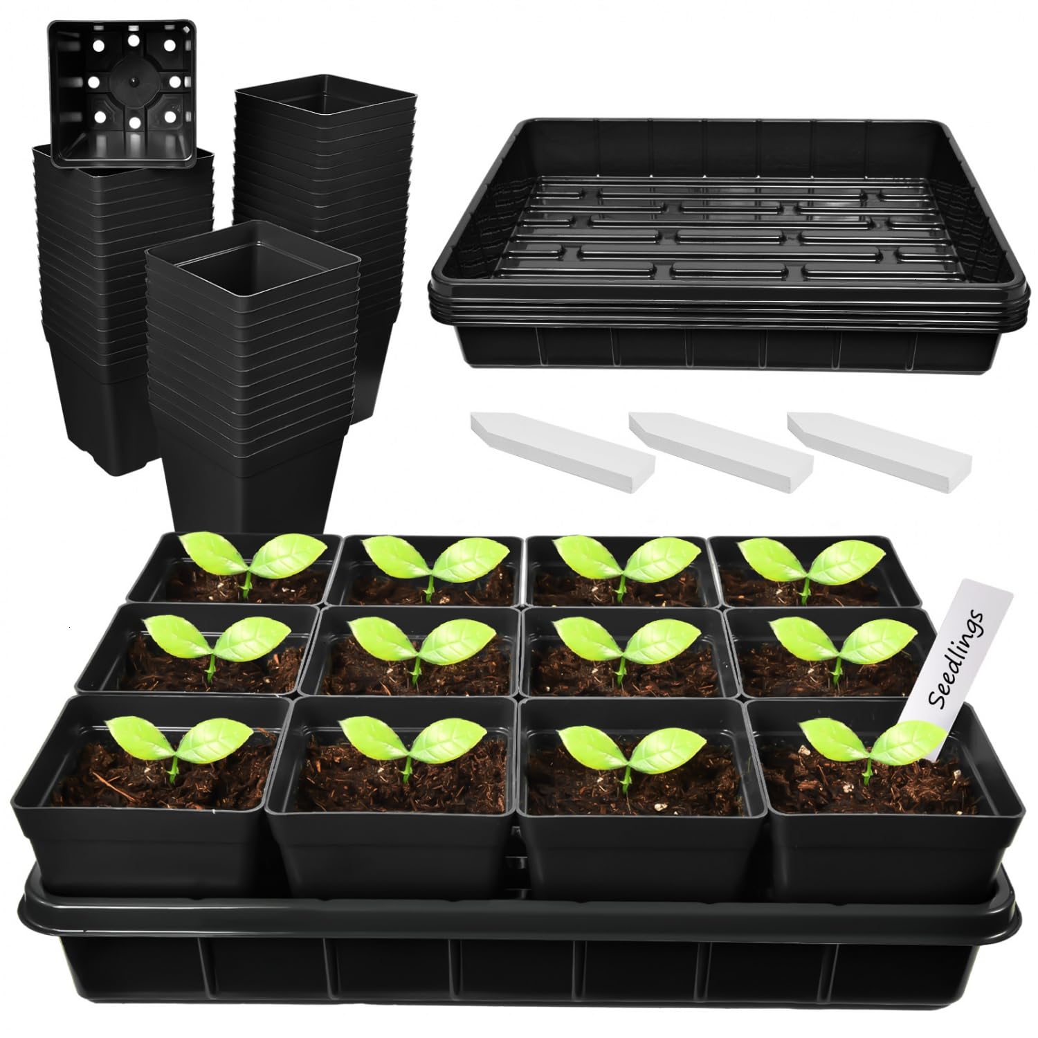 June Fox front packaging of 60-piece seed-starting kit showing contents and benefit of complete set