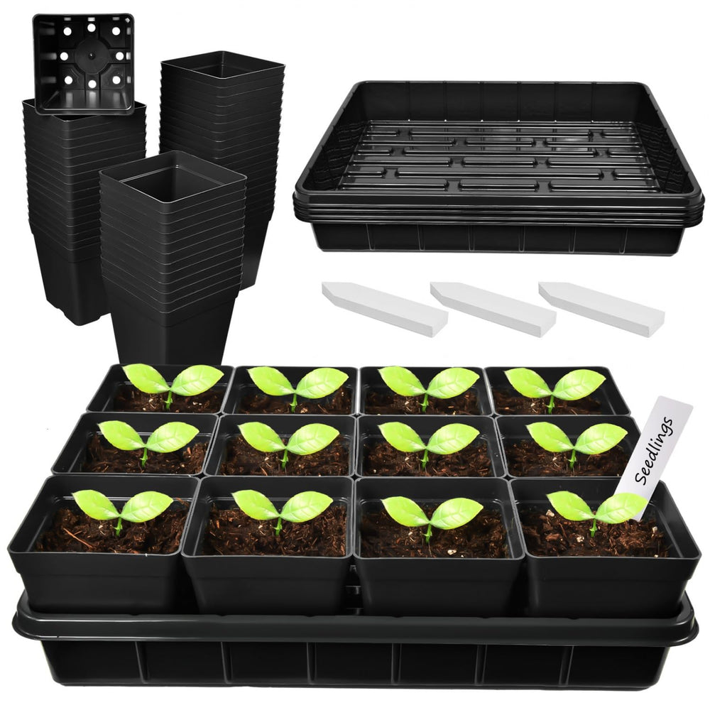 June Fox front packaging of 60-piece seed-starting kit showing contents and benefit of complete set
