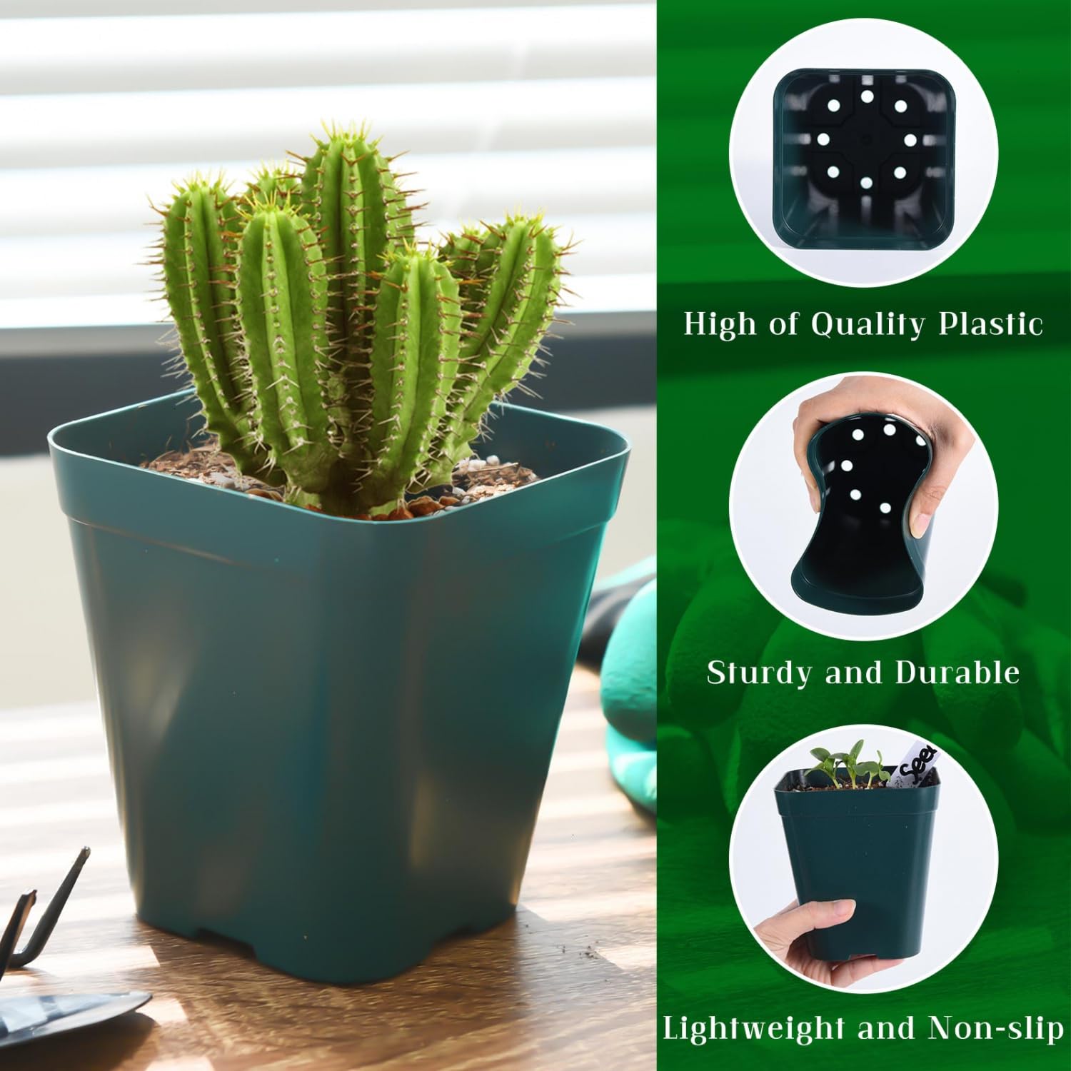 June Fox detail of flexible plastic wall for easy seedling release