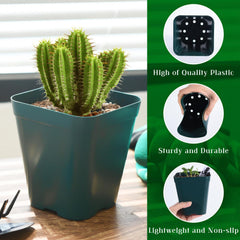 June Fox detail of flexible plastic wall for easy seedling release