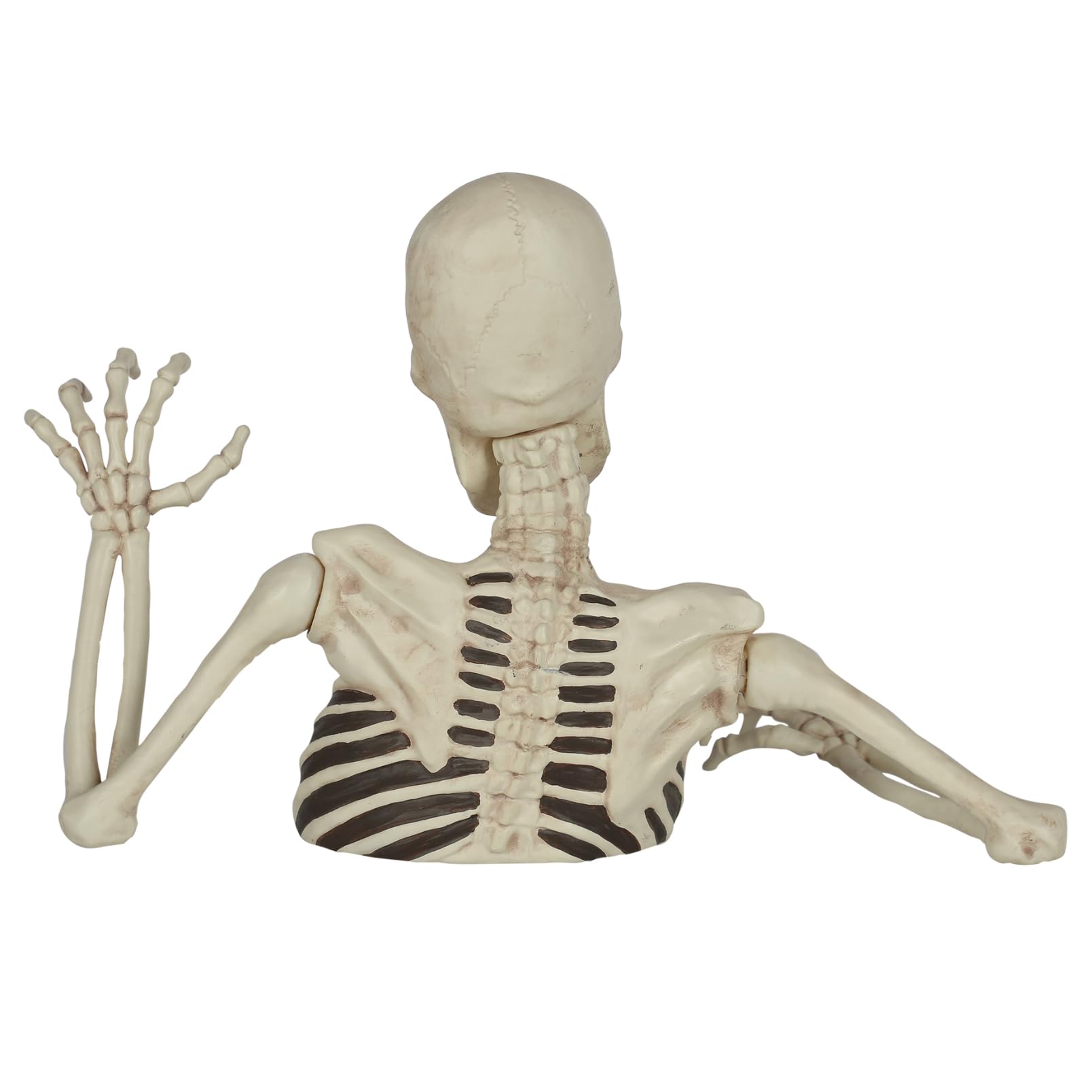 JUST FOR PARTY skeleton lit at night showing dramatic shadow and curb appeal