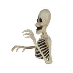 JUST FOR PARTY skeleton next to a ruler for size comparison illustrating compact scale