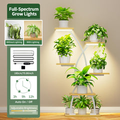 JUSTOGO side shot highlighting curved metal frame for stable decorative display