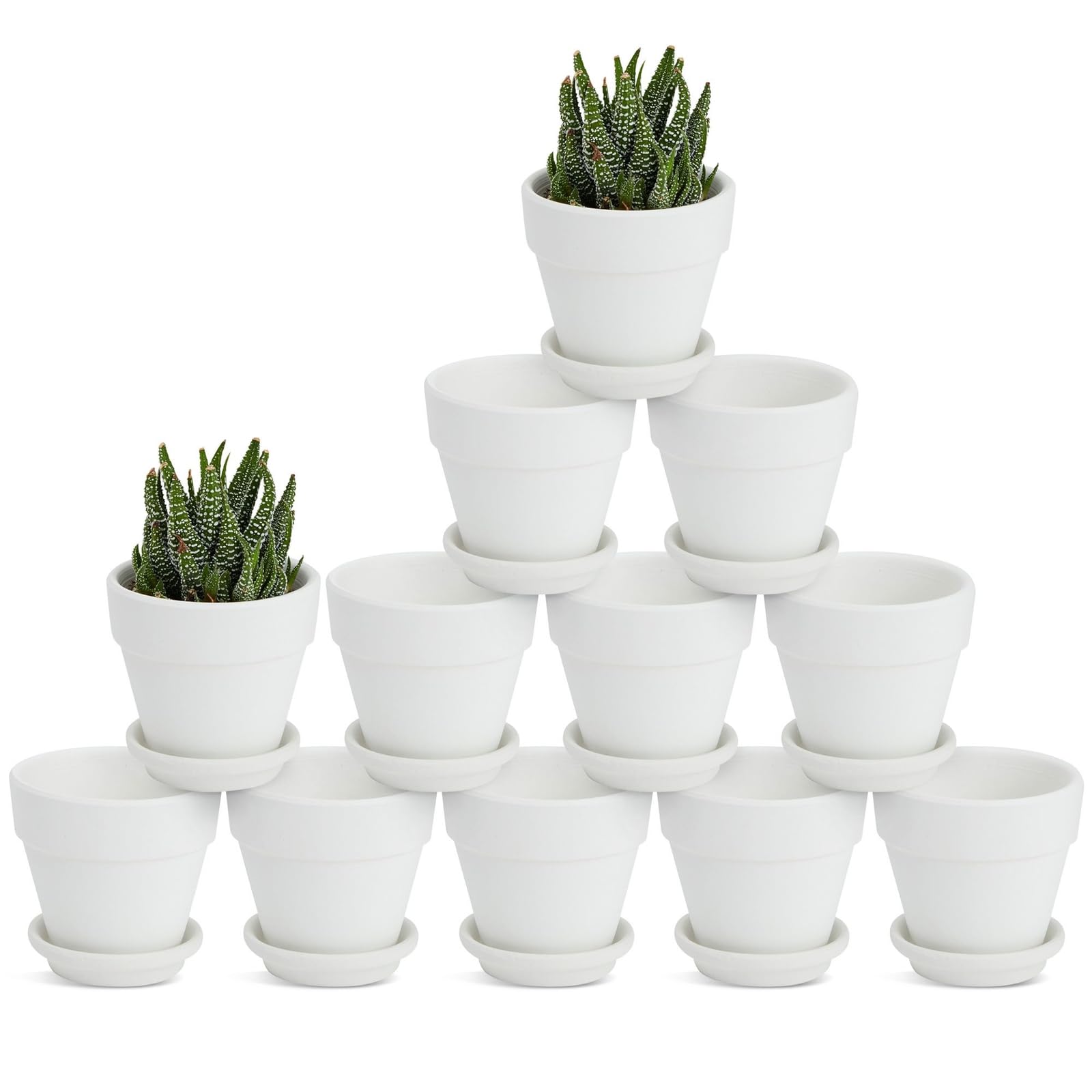 Juvale front view of 12 white mini terracotta pots showing uniform set and tidy look