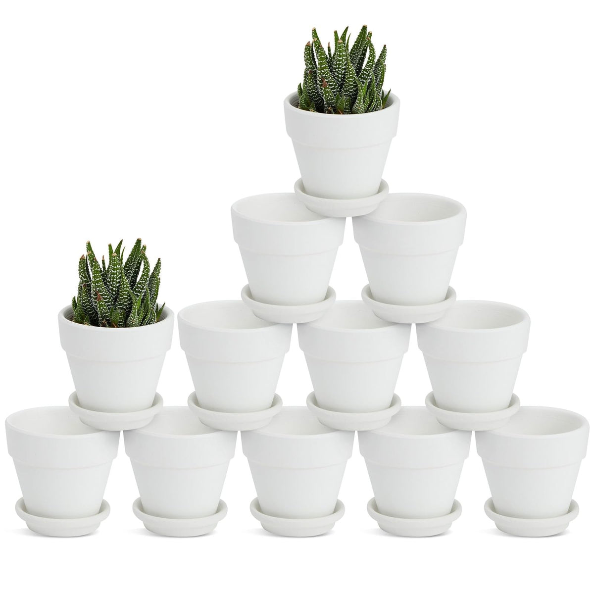 Juvale front view of 12 white mini terracotta pots showing uniform set and tidy look
