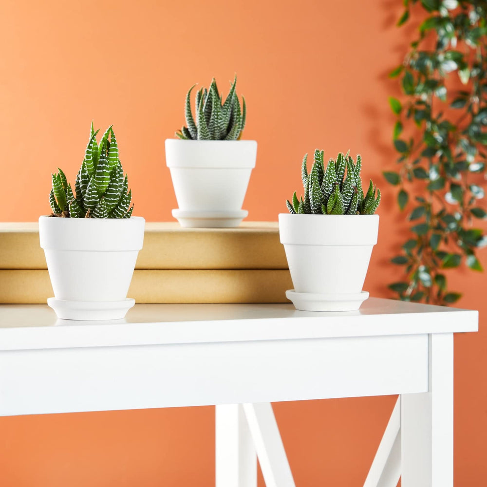 Juvale paintable surface detail highlighting smooth finish for easy customization