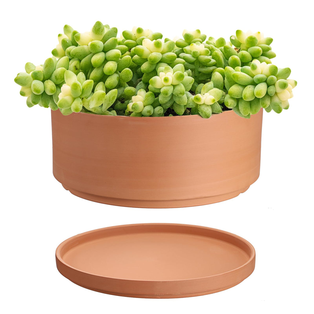 JUXYES front view of 10-inch terracotta pot showing classic shape and sturdy base for stability