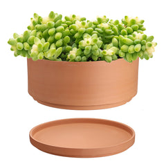 JUXYES front view of 10-inch terracotta pot showing classic shape and sturdy base for stability