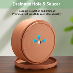 JUXYES detailed shot of unglazed clay texture that aids breathability and soil drying