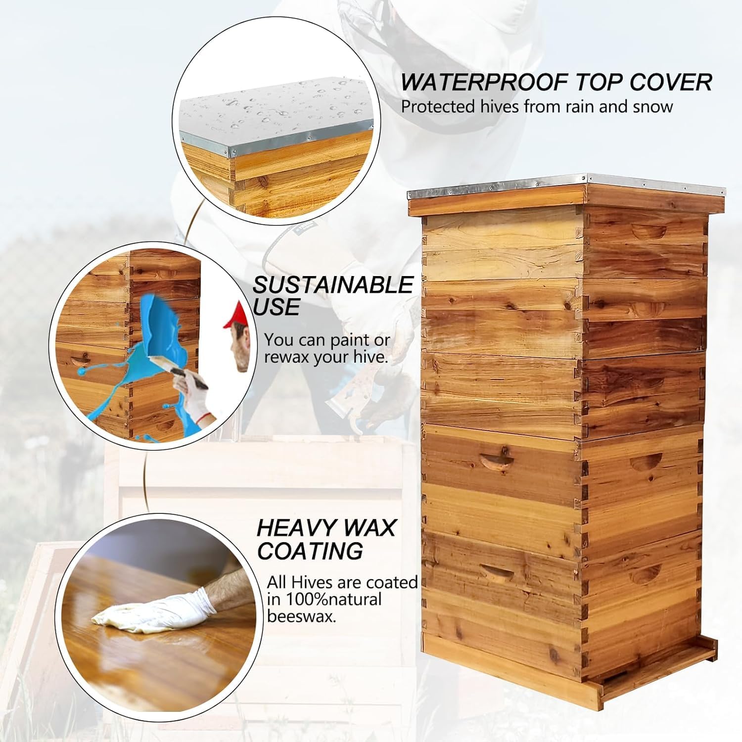 Jwevvie open hive interior displaying space for ten frames per layer
