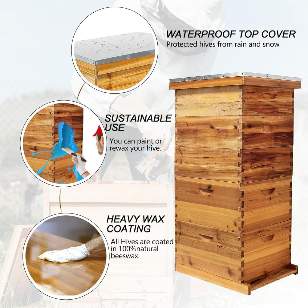 Jwevvie open hive interior displaying space for ten frames per layer