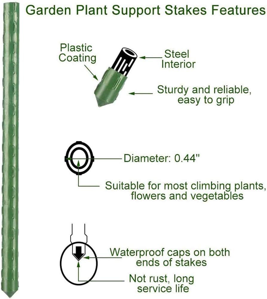 Jxrhy stakes installed along a garden row illustrating tidy vine training and space-saving benefit