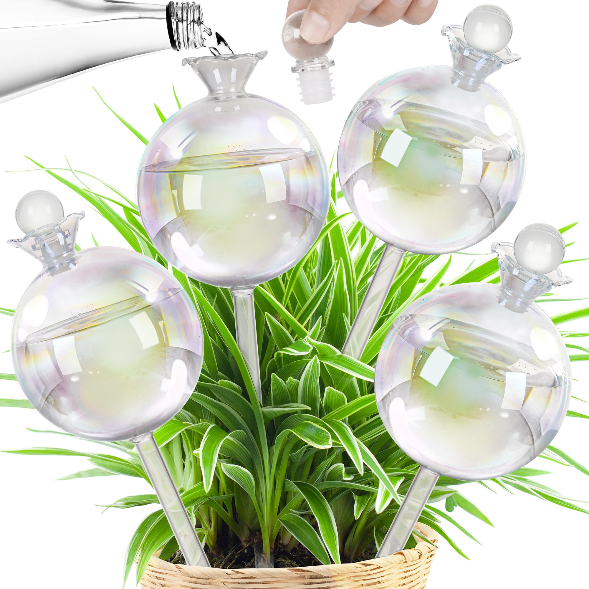JXWENBYX front view of four-pack watering globes, convenient multi-plant care
