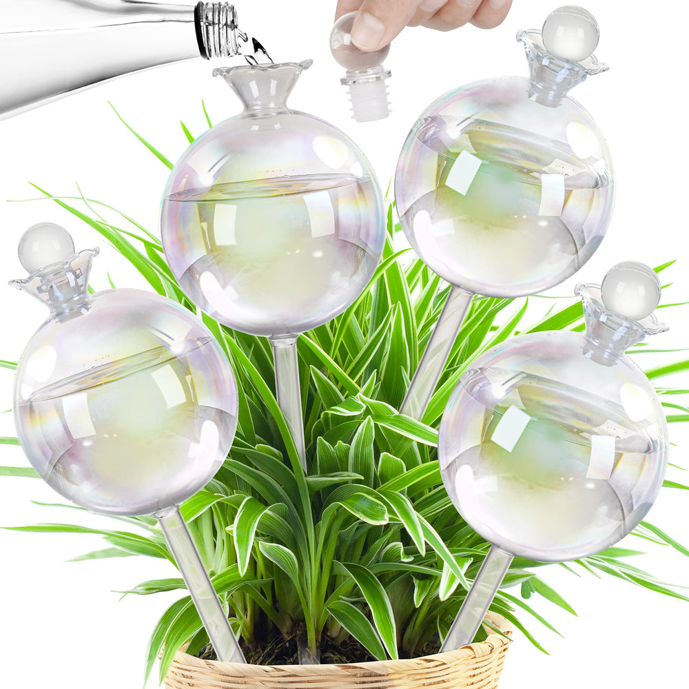 JXWENBYX front view of four-pack watering globes, convenient multi-plant care