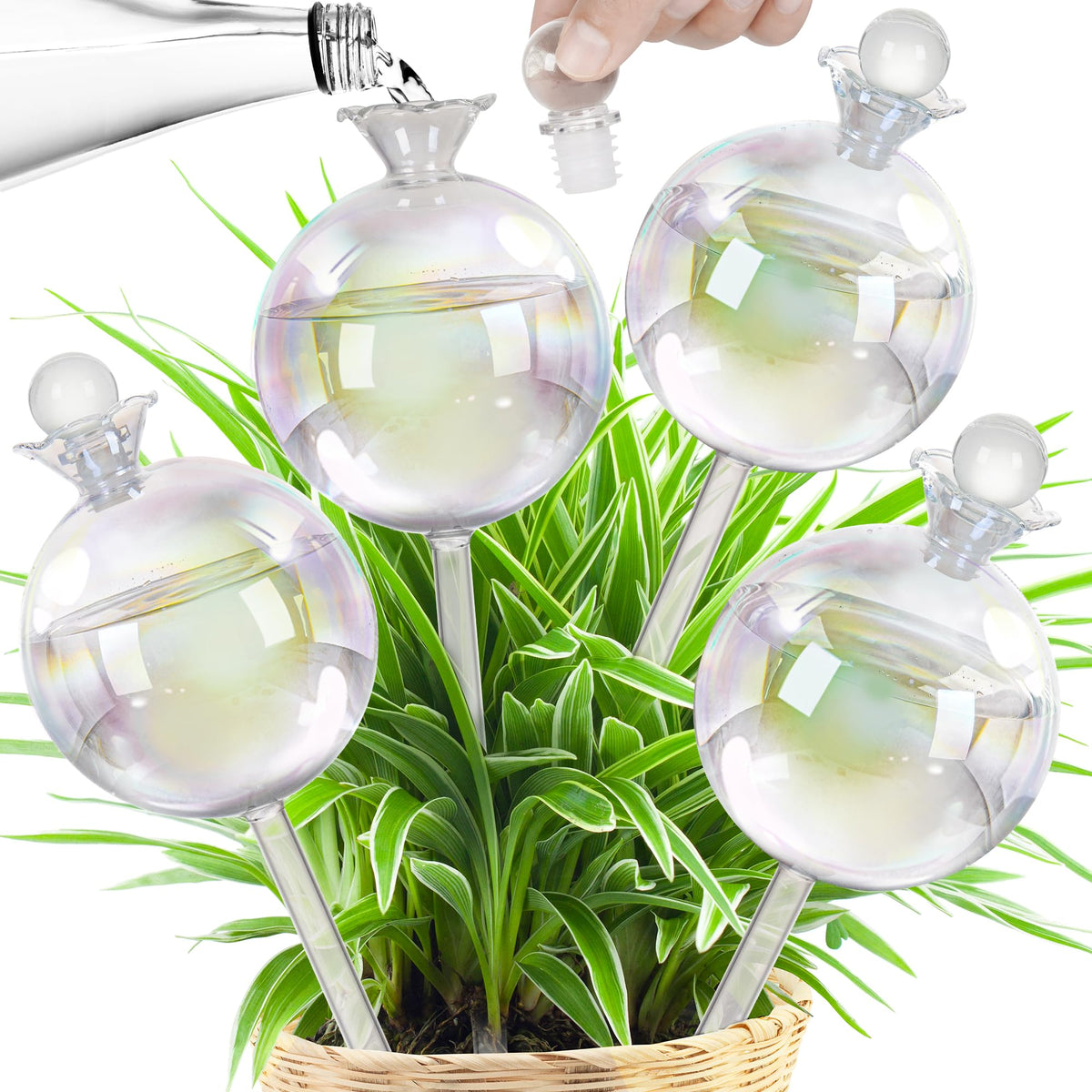 JXWENBYX front view of four-pack watering globes, convenient multi-plant care