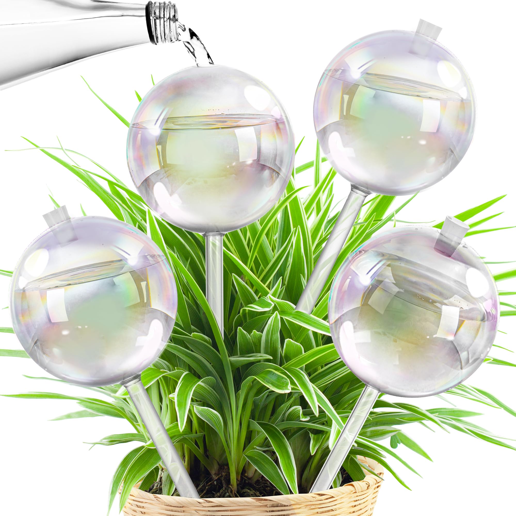 JXWENBYX front view of four glass watering globes in retail-ready packaging showing convenience