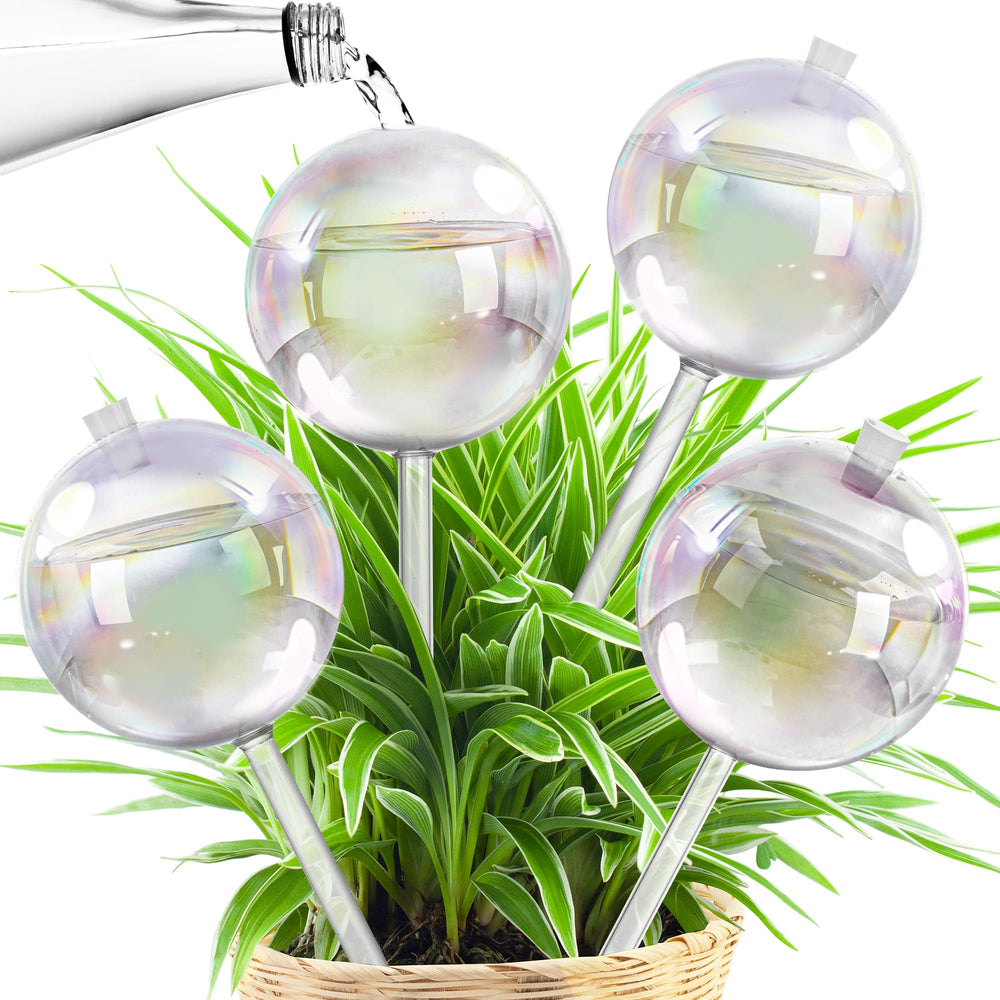 JXWENBYX front view of four glass watering globes in retail-ready packaging showing convenience