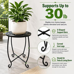 Kaesithar plant stands on a patio with pots showing outdoor styling benefit