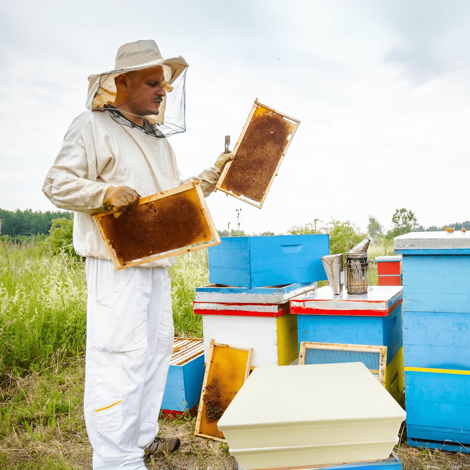 KAGZ feeder in a seasonal apiary scene for convenient colony feeding