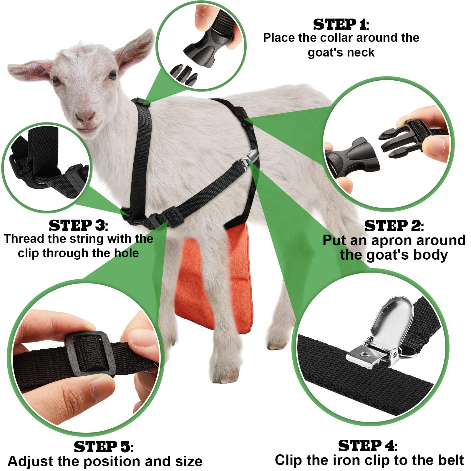 Kajaia apron on goat full side view illustrating coverage and freedom of movement