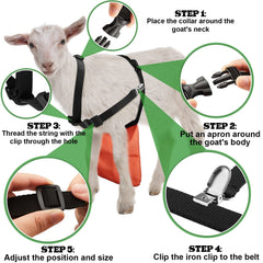 Kajaia apron on goat full side view illustrating coverage and freedom of movement
