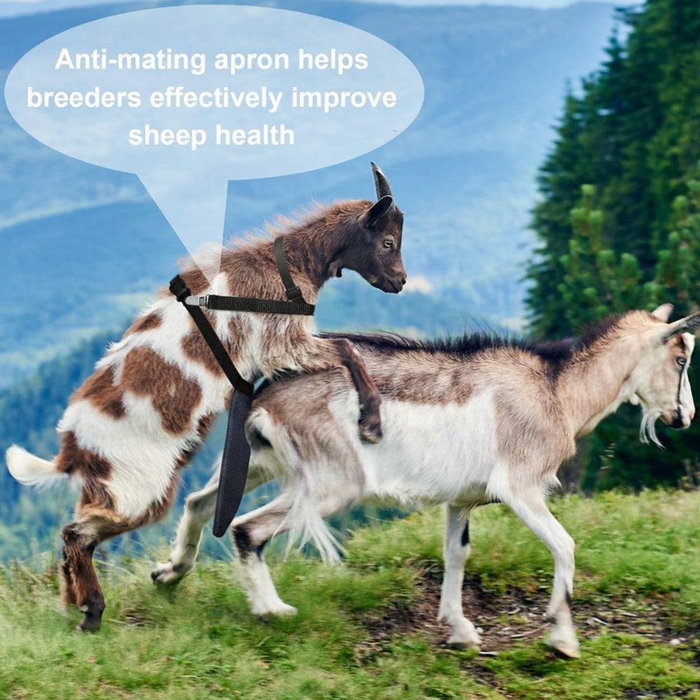 Kajaia apron worn by goat in field demonstrating secure fit and mobility
