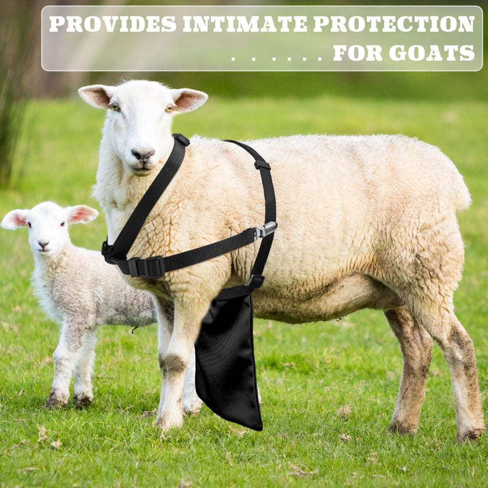 Kajaia packaged set with straps and collars highlighting complete kit advantage