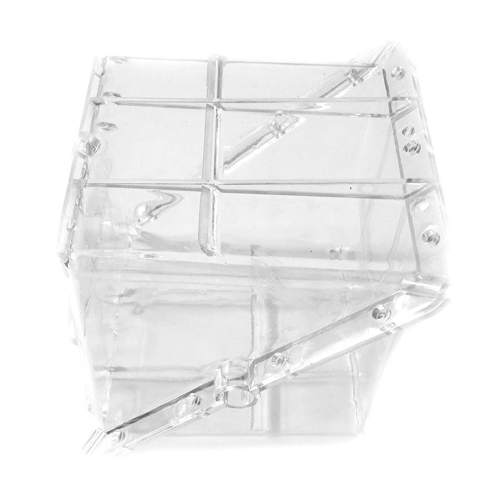 Kakalote transparent wall texture demonstrating durable plastic and pressure resistance benefit