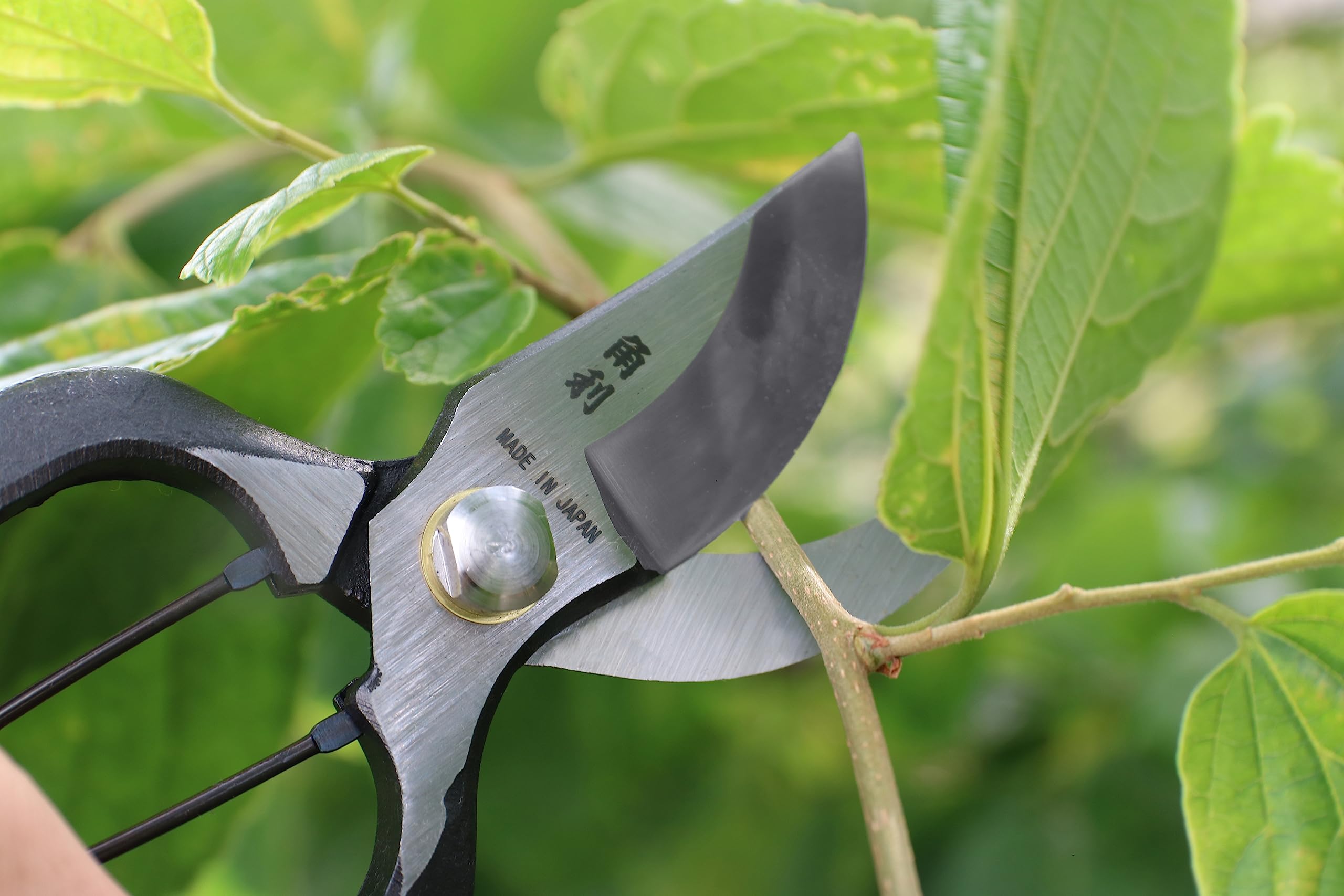 KAKURI forged steel texture detail illustrating craftsmanship and durability