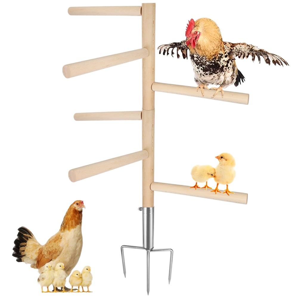 Kalekey front view showing full 39.4-inch perch enhancing coop space