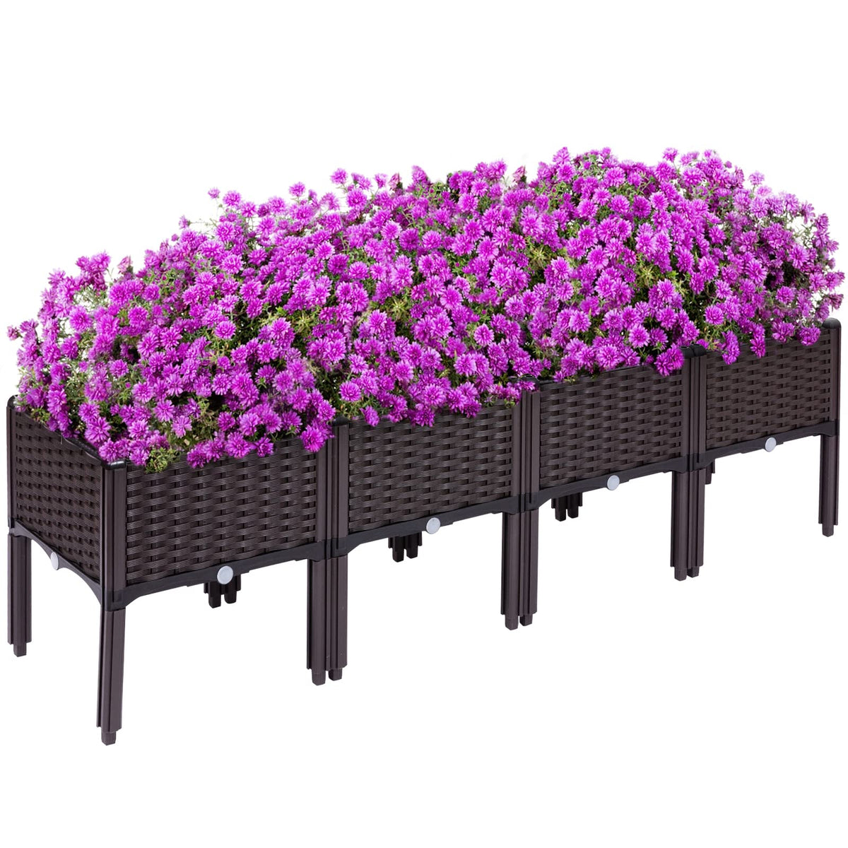 Kalolary front view of four assembled raised garden beds showing organized planting space