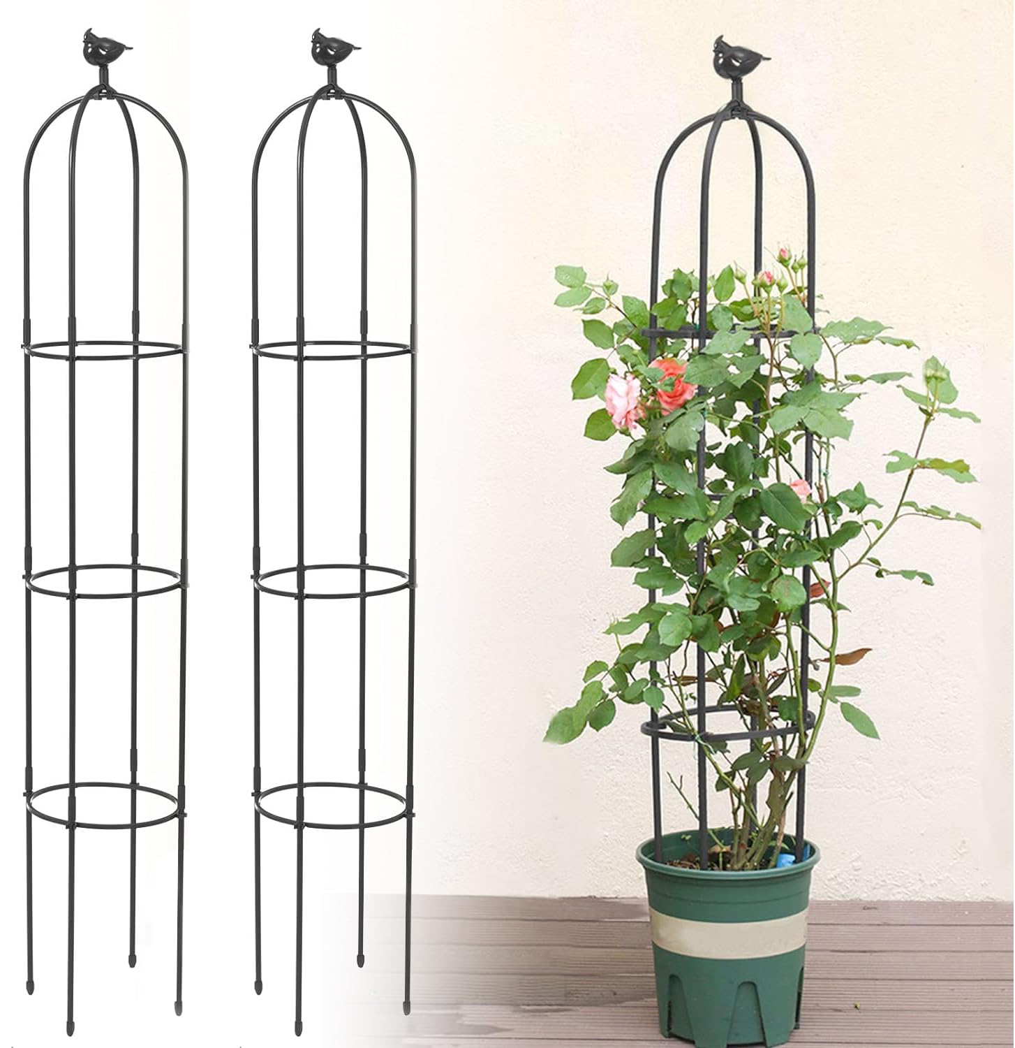 Kalolary front view obelisk trellis showing full frame and height benefit