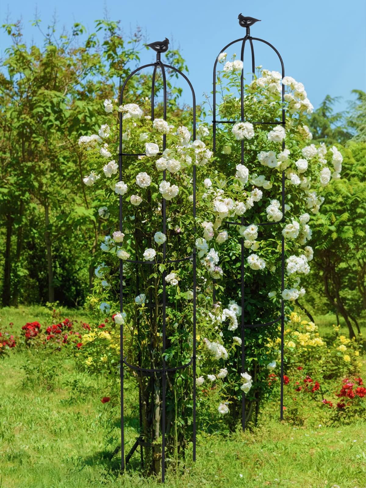 Kalolary trellis placed in a pot on balcony saving floor space benefit