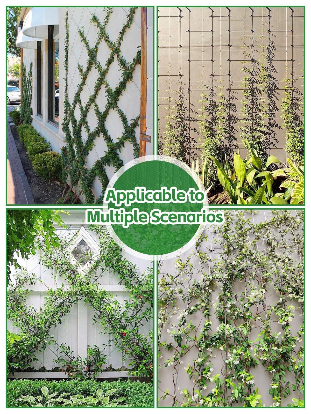 Kalolary balcony trellis with climbing plants maximizing vertical space