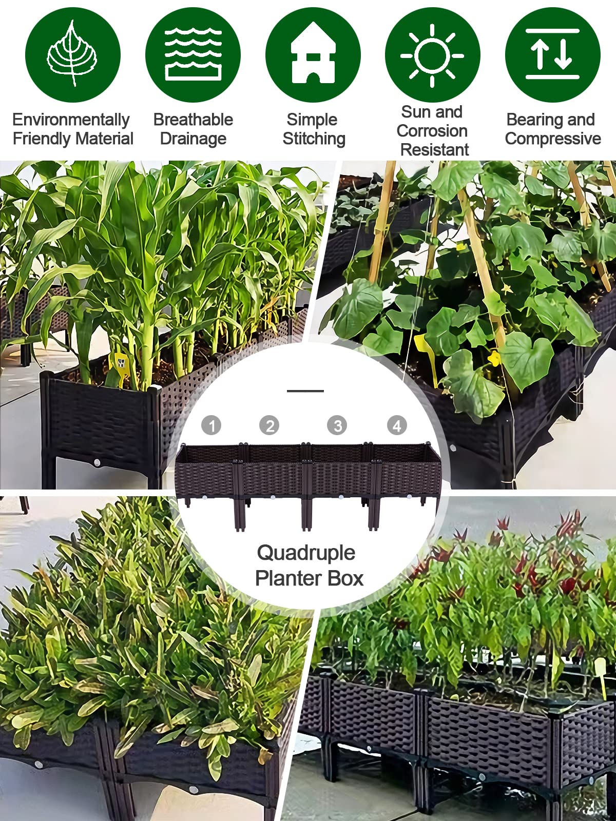 Kalolary planter on a balcony illustrating space-saving container gardening