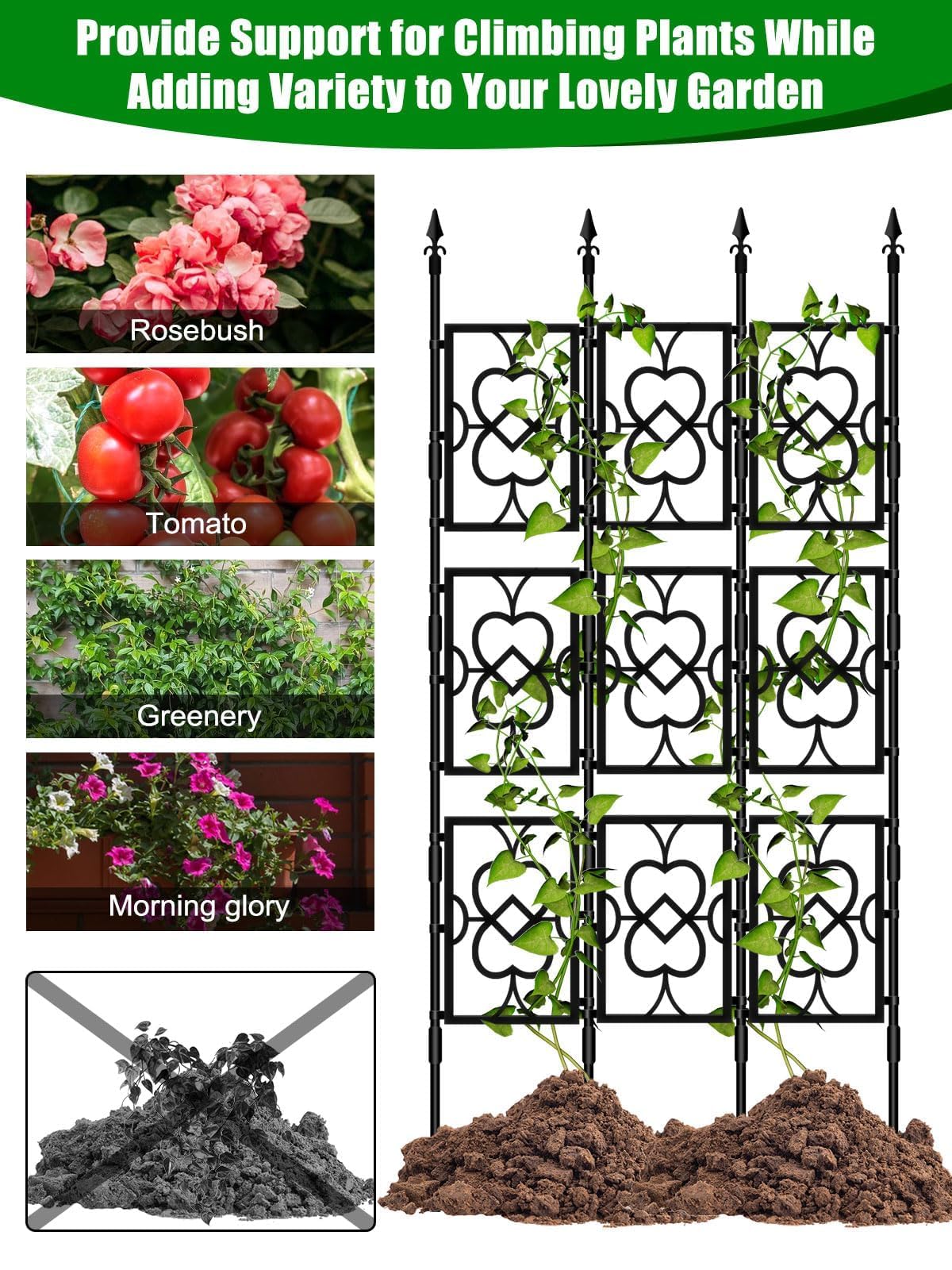 Kalolary trellis supporting climbing plants in a garden bed for airflow
