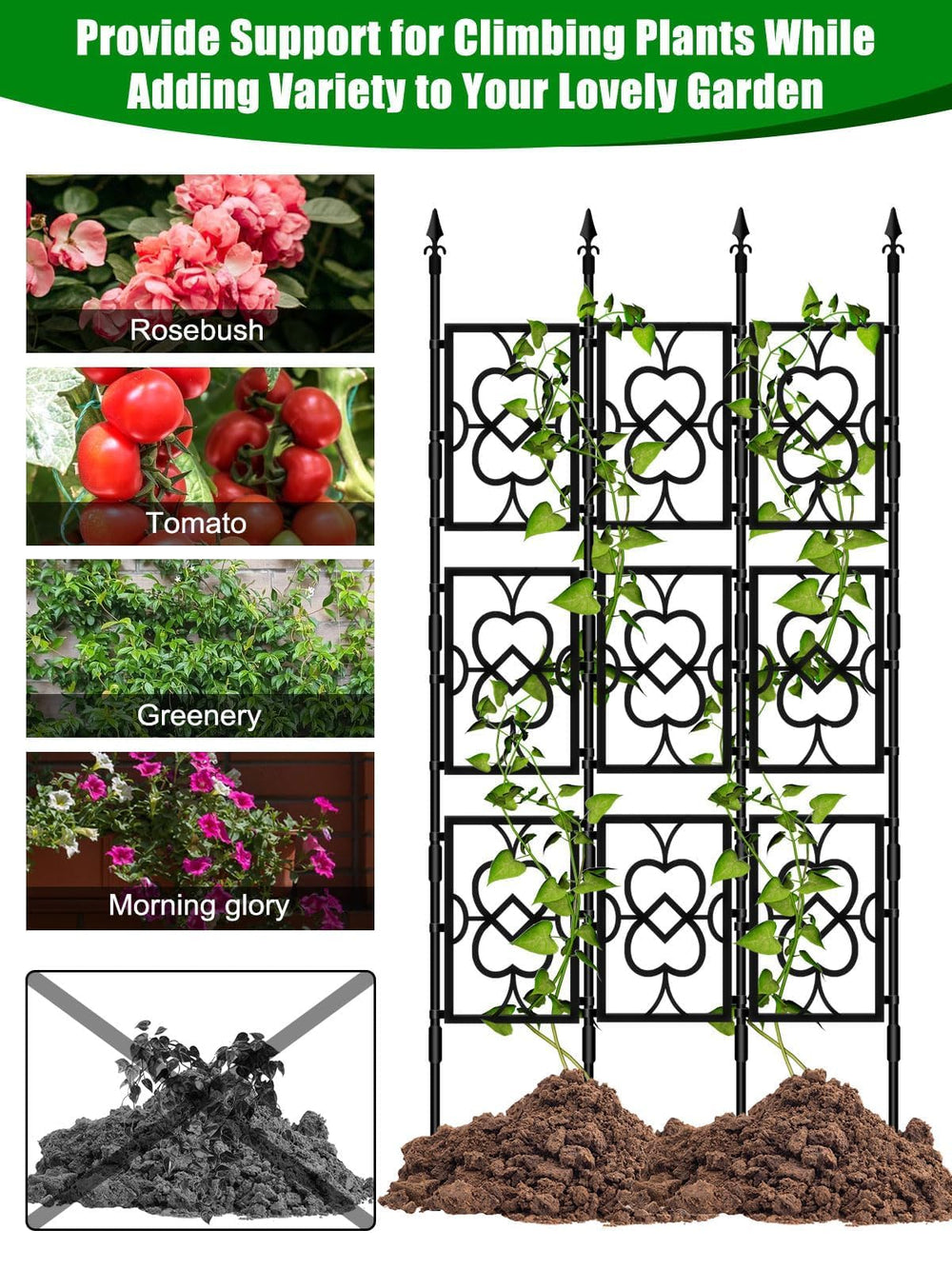 Kalolary trellis supporting climbing plants in a garden bed for airflow