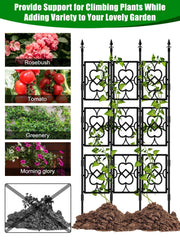 Kalolary trellis supporting climbing plants in a garden bed for airflow