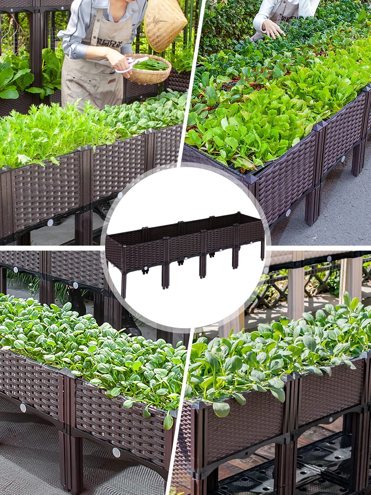 Kalolary planter with trellis and vines showing vertical growing capability