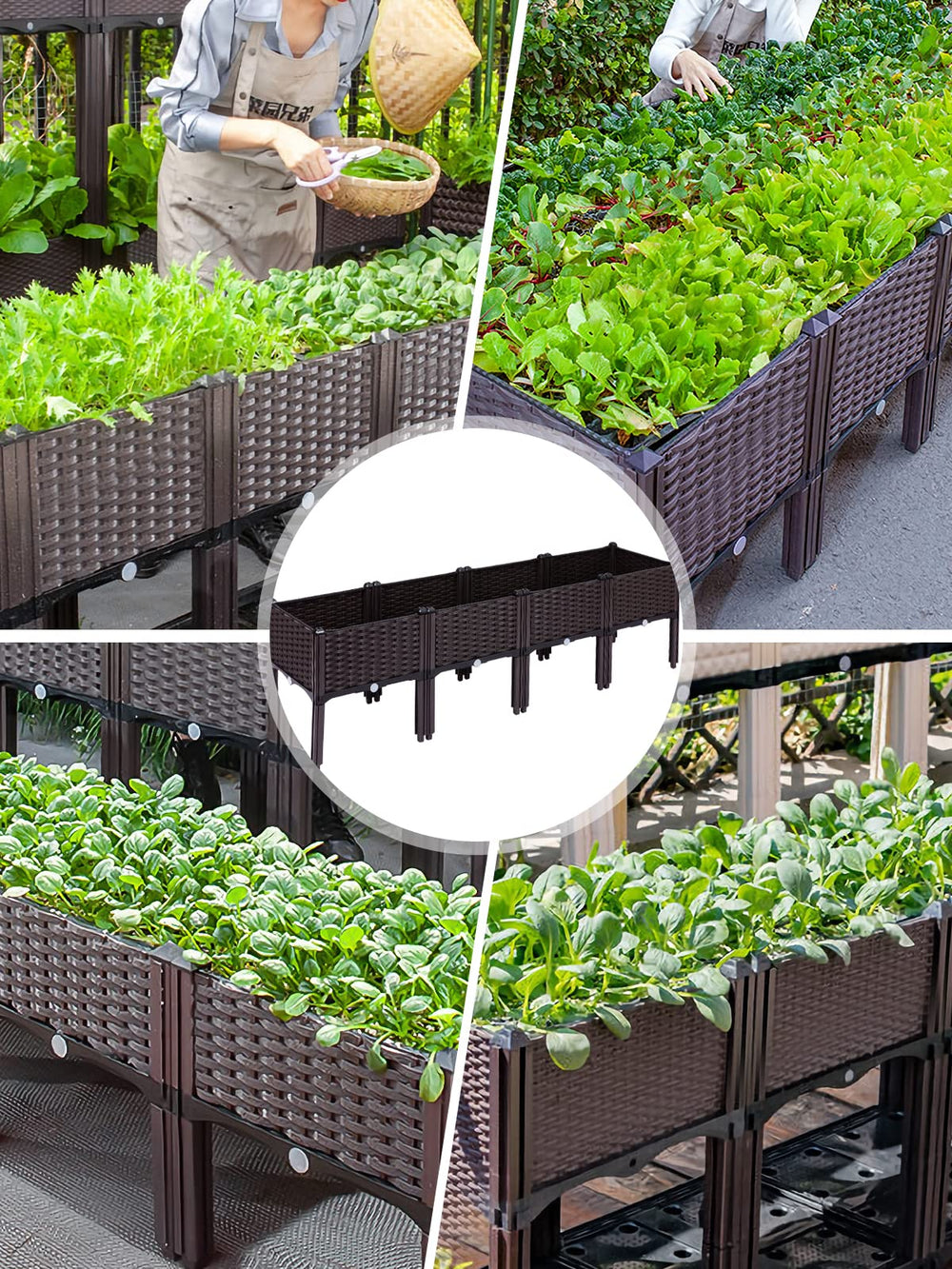 Kalolary planter with trellis and vines showing vertical growing capability
