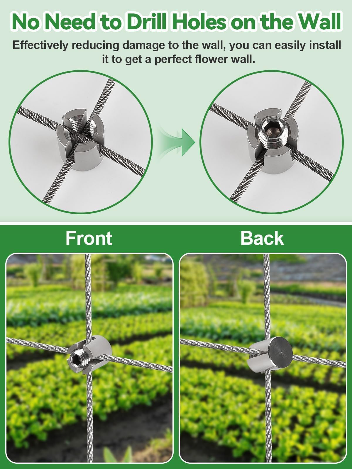 Kalolary wire rope tensioned on wall demonstrating strong plant support
