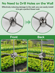 Kalolary wire rope tensioned on wall demonstrating strong plant support