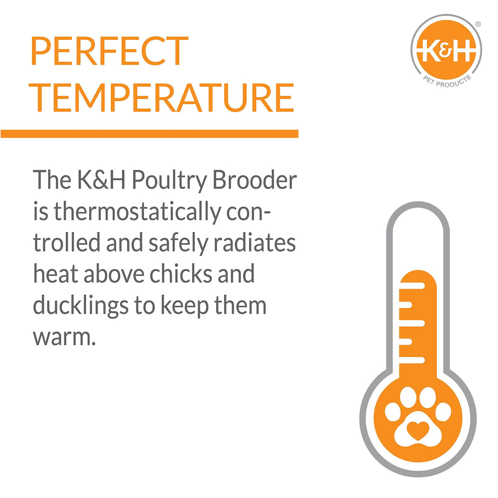 K&H brooder indicator light detail confirming unit is powered and functioning