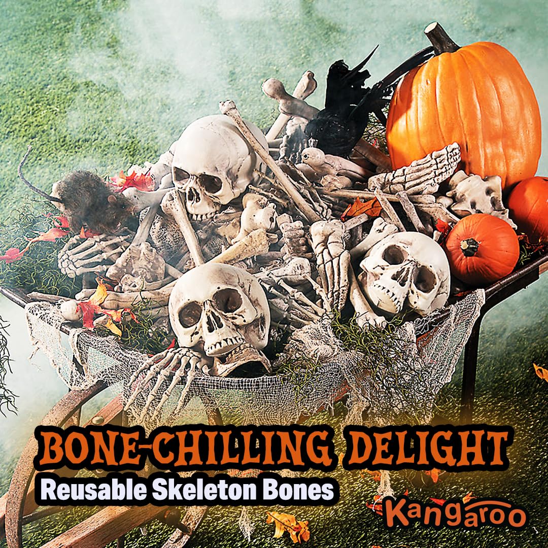 Kangaroo backbone and rib pieces highlighting varied shapes for staging