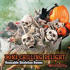 Kangaroo backbone and rib pieces highlighting varied shapes for staging